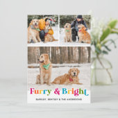 Furry & Bright パーソナライズされた Petカラフル Dog写真 シーズンカード (スタンド正面)