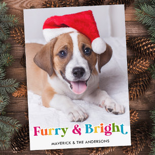 Furry & Bright モダン Petカラフル Dog写真 シーズンカード