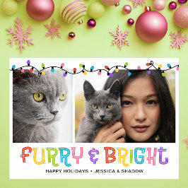 Furry & Bright Cat写真 シーズンカード