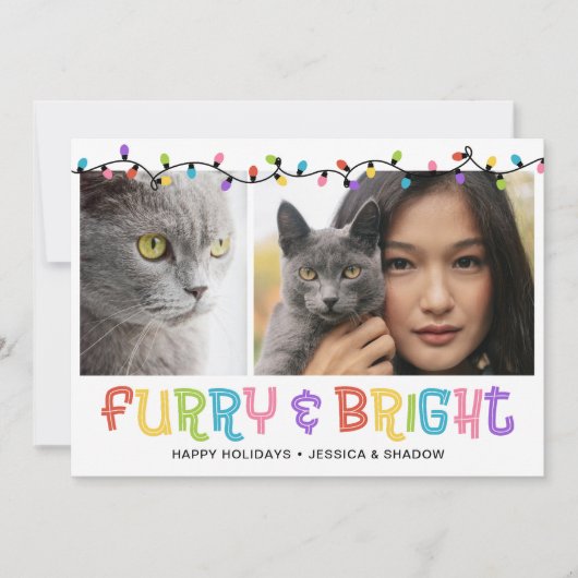 Furry & Bright Cat写真 シーズンカード (正面)