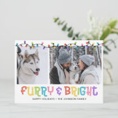 Furry & Bright Dog写真 シーズンカード (スタンド正面)