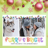 Furry & Bright Dog写真 シーズンカード