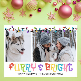 Furry & Bright Dog写真 シーズンカード