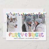 Furry & Bright Dog写真 シーズンカード (正面)