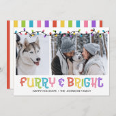 Furry & Bright Dog写真 シーズンカード (正面/裏面)