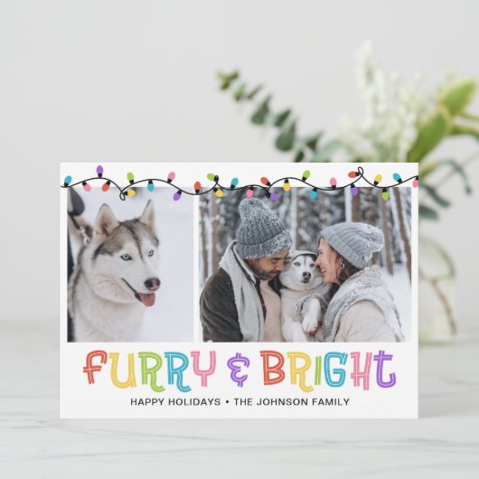 Furry & Bright Dog写真 シーズンカード (スタンド正面)