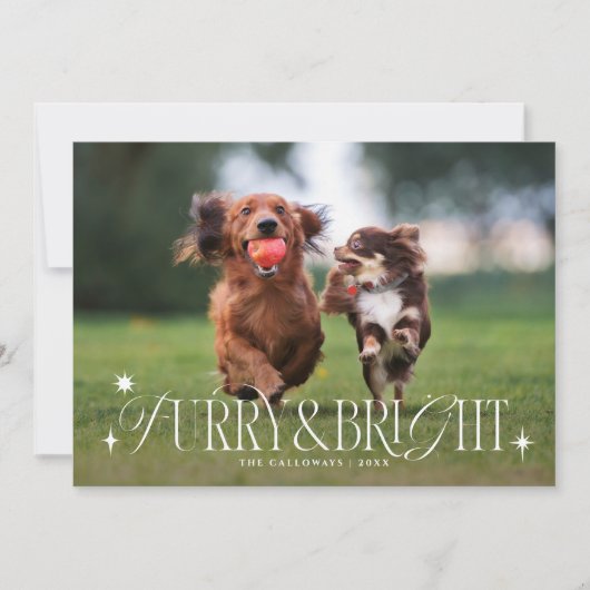 Furry & Bright Dog横型フォトクリスマス シーズンカード (正面)