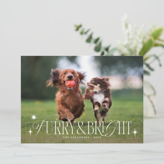 Furry & Bright Dog横型フォトクリスマス シーズンカード (スタンド正面)