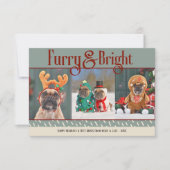 Furry & Bright Dog Christmas Photo Holiday Card サンキューカード (正面)
