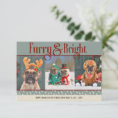 Furry & Bright Dog Christmas Photo Holiday Card サンキューカード (スタンド正面)