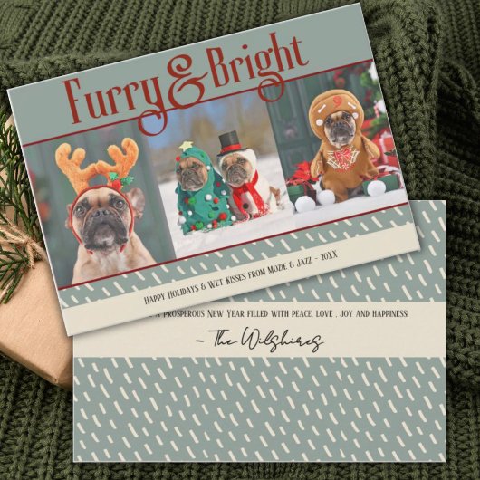 Furry & Bright Dog Christmas Photo Holiday Card サンキューカード