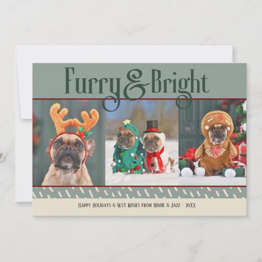 Furry & Bright Dog Christmas Photo Holiday Card シーズンカード (正面)