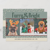 Furry & Bright Dog Christmas Photo Holiday Card シーズンカード (正面/裏面)