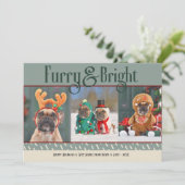 Furry & Bright Dog Christmas Photo Holiday Card シーズンカード (スタンド正面)
