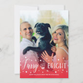 Furry & Bright - Pet Christmas Photo シーズンカード (正面)