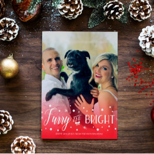 Furry & Bright - Pet Christmas Photo シーズンカード