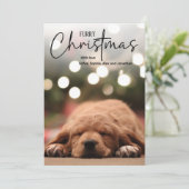 Furry Christmas pet photo in blue with overlay シーズンカード (スタンド正面)