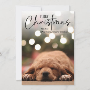 Furry Christmas pet photo in blue with overlay シーズンカード
