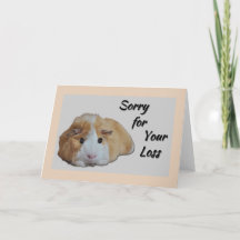 Furry Little Guinea Pig Tan Your Lossごめんなさい