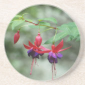 Fuschia1A.jpg コースター (正面)