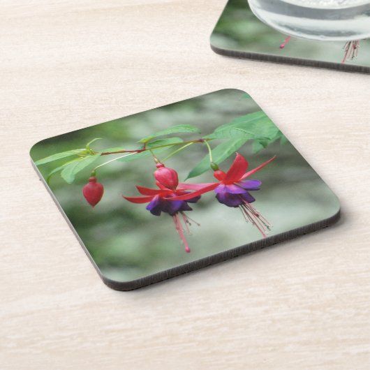 Fuschia1A.jpg コースター (左側)