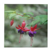 Fuschia1A.jpg タイル (正面)
