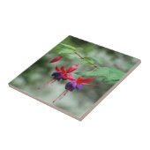 Fuschia1A.jpg タイル (側面)