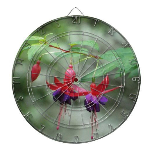 Fuschia1A.jpg ダーツボード (正面)