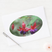 Fuschia1A.jpg 楕円形シール (封筒)