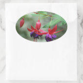 Fuschia1A.jpg 楕円形シール (バッグ)