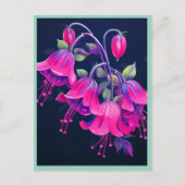 FUSCHIA FLOWERS #1 ポストカード (正面)