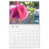 Fuschias 2015年II カレンダー (3月 2027)