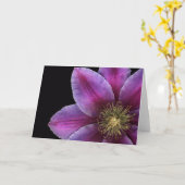 Fusciaのクレマチスのクローズアップ カード (黄色い花)