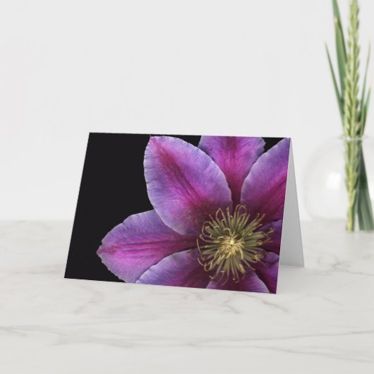 Fusciaのクレマチスのクローズアップ カード (正面)