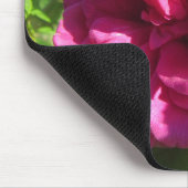 Fuscia Rugosaは、多数の花びら上がりました マウスパッド (コーナー)