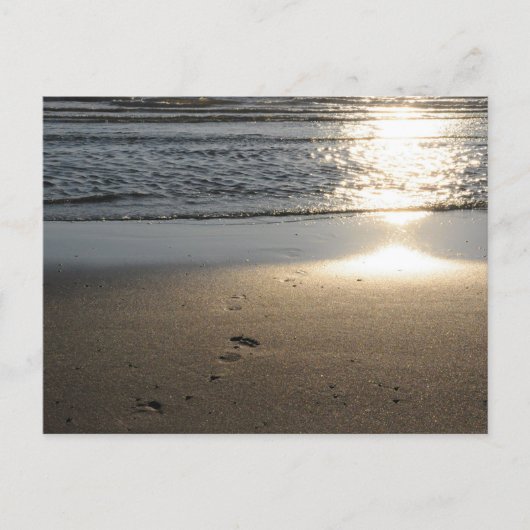 Fußspuren am Sandstrand ポストカード (正面)