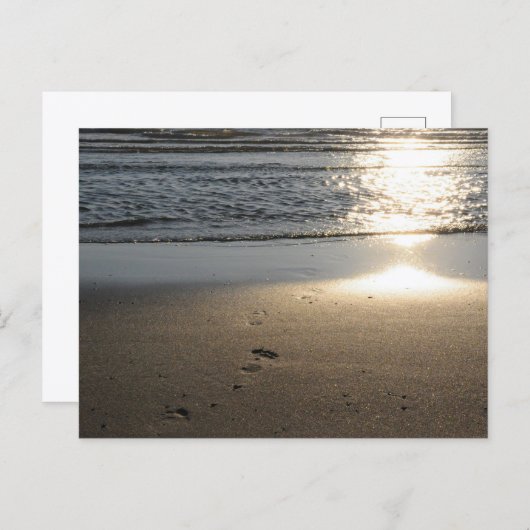 Fußspuren am Sandstrand ポストカード (正面/裏面)