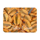 Future Giants、Giant Redwood種子 マグネット (横)