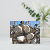 Future Zazzle Tシャツ ポストカード (スタンド正面)