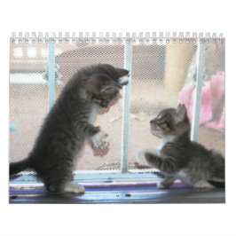 fuzzybuttsの年 カレンダー