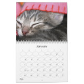 fuzzybuttsの年 カレンダー (1月 2026)