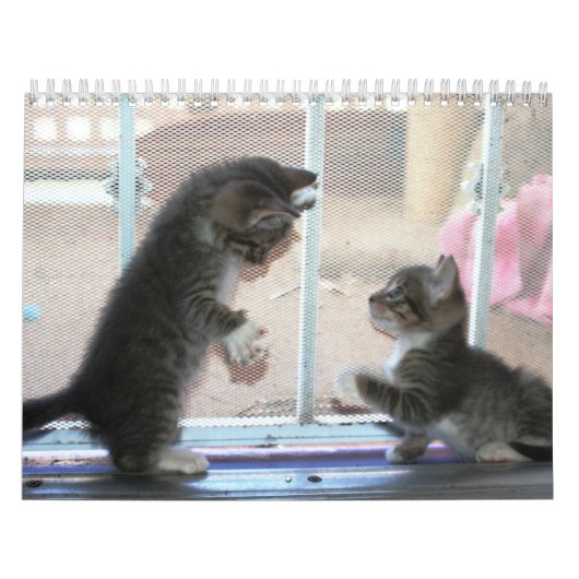 fuzzybuttsの年 カレンダー (カバー)