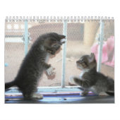 fuzzybuttsの年 カレンダー (カバー)