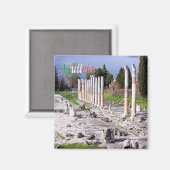 FVG001 AQUILEIA,ローマ遺跡,イタリア,冷蔵庫 マグネット (正面/裏面)