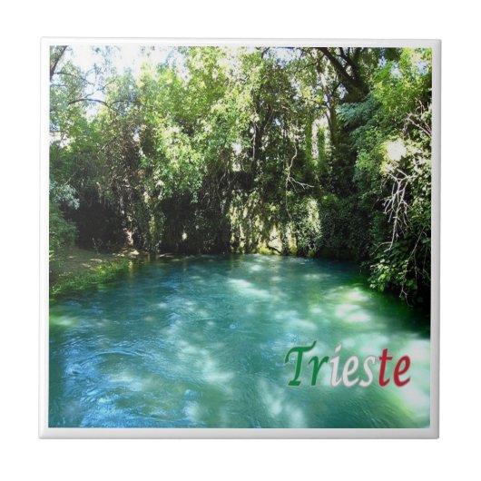 FVG016 TRIESTE, Risorgive del Timanvo, タイル (正面)