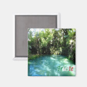 FVG016 TRIESTE, Risorgive del Timanvo,冷蔵庫 マグネット (正面/裏面)