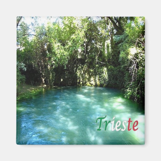 FVG016 TRIESTE, Risorgive del Timanvo,冷蔵庫 マグネット (正面)