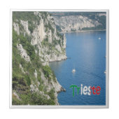 FVG017 TRIESTE, Path Rilke，イタリア， タイル (正面)