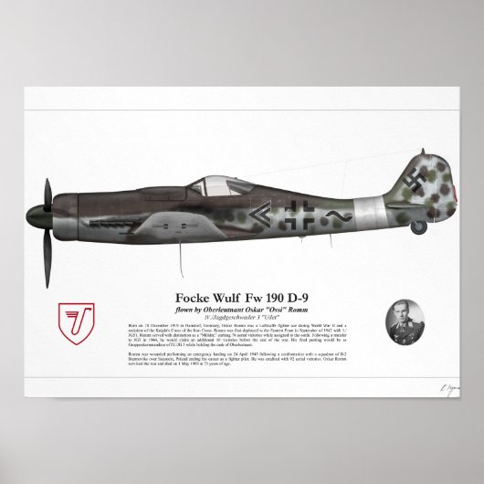 Fw 190 D-9 （オスカールローム） ポスター (正面)