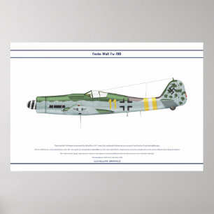 Fw-190 D-9 JG2 1 ポスター